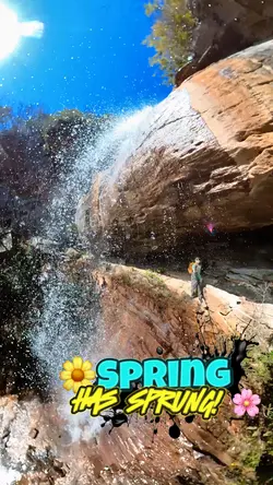 Spring has Sprung!