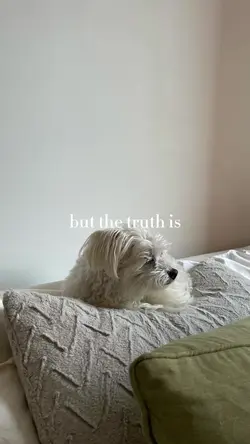 Record my life