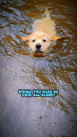 Swim with me? 💙🩵