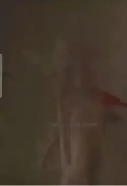 Dobby put it down 😅