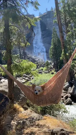 Adventure 