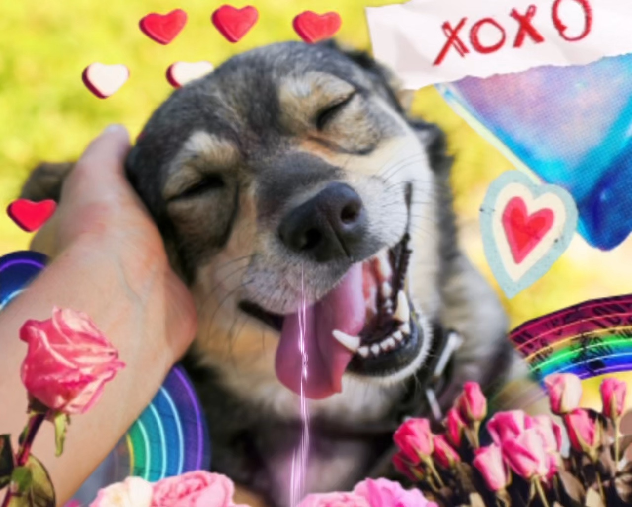 Día del Perro San Valentín 