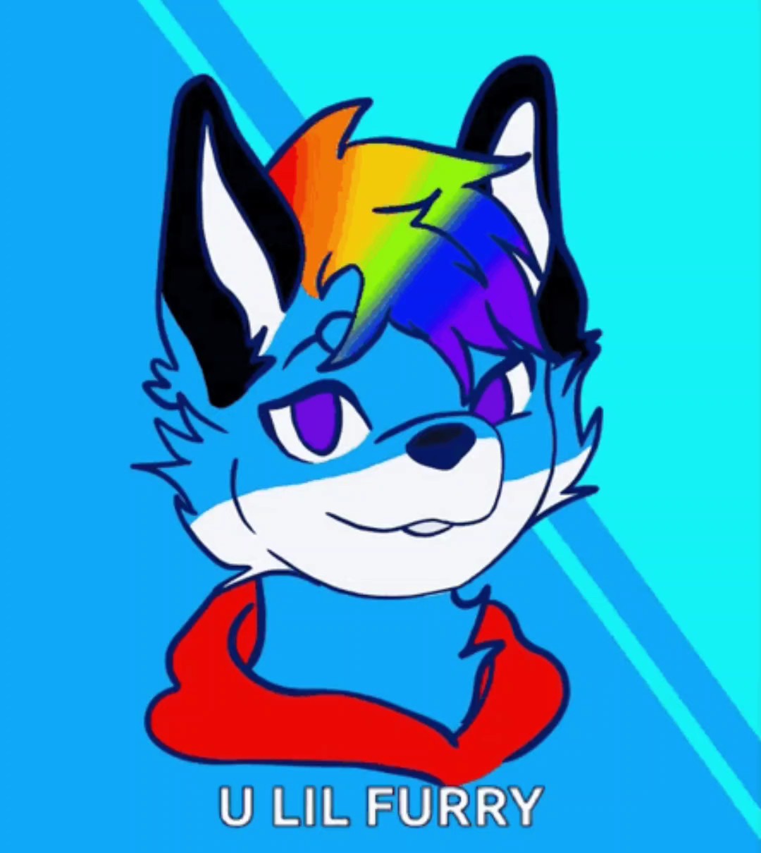 why do they why?