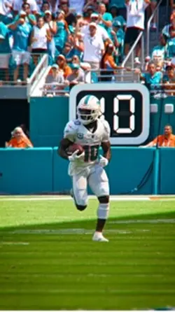FREE DOLPHINS CLIPS