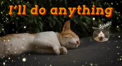 I’ll do anything 