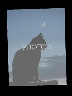 Отключаю телефон 📞