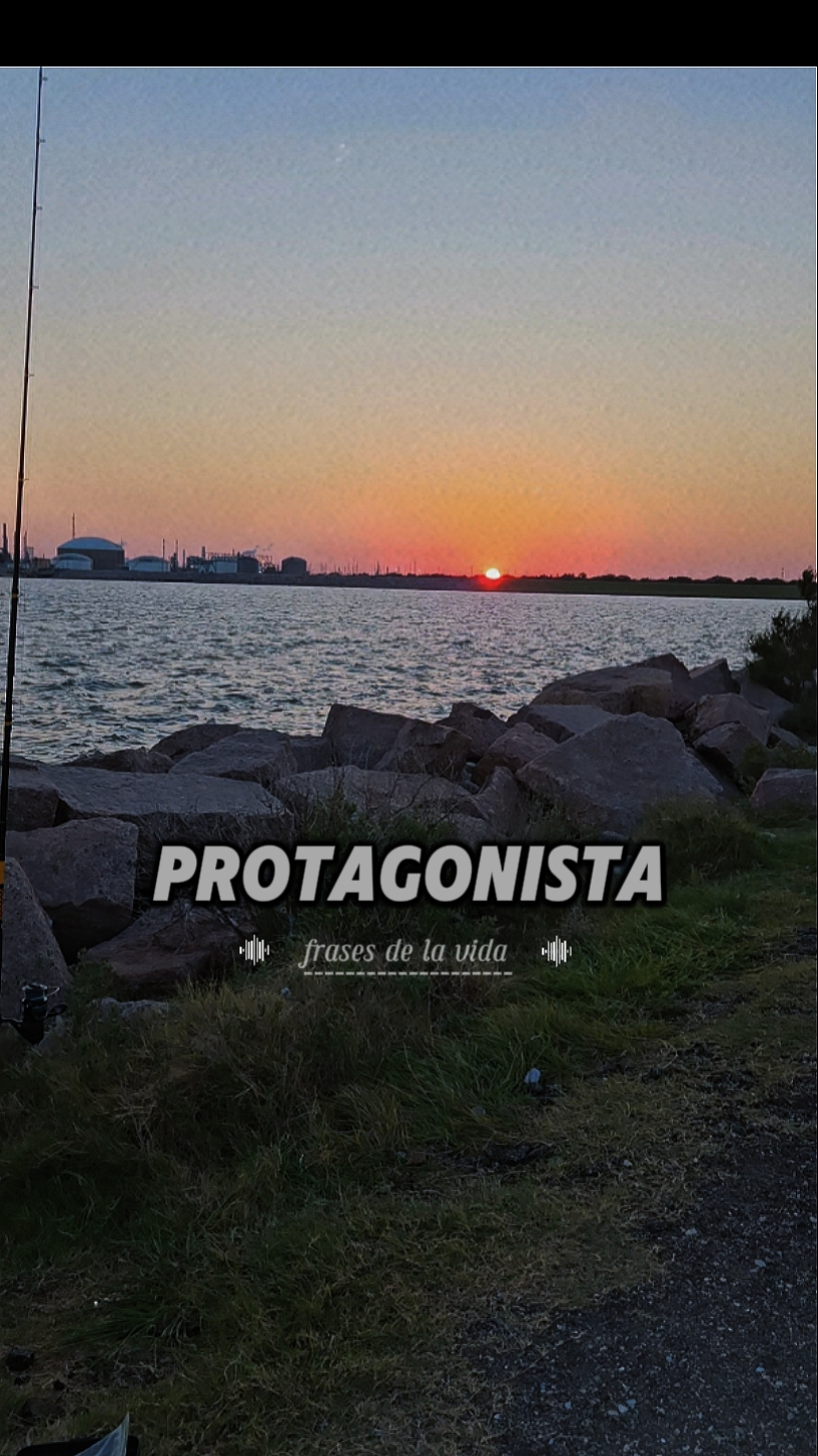 frases 