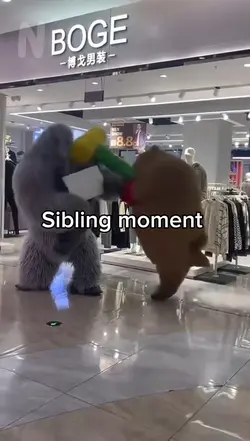 Bear smacking gorila