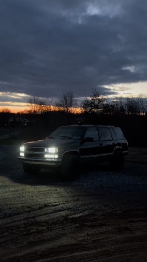 Cover Picture