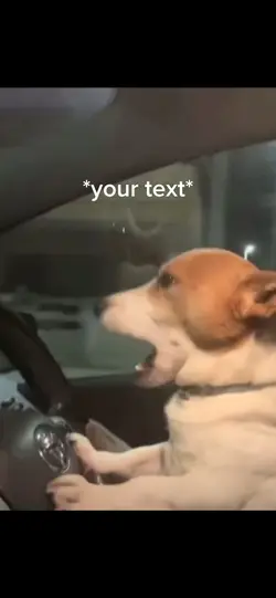 Driving dog