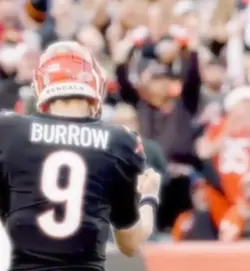 Joe burrow