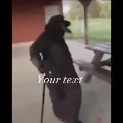 Your text