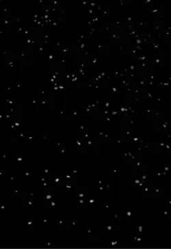 Id wana be next to u