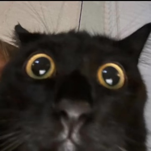 benim videom değil 