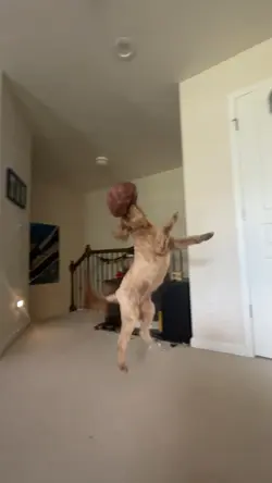 😭😭💀💀✋✋