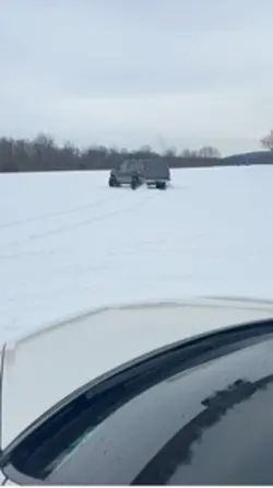 Zoomies 