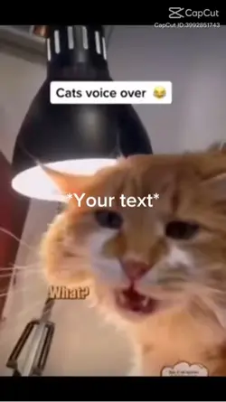 Cat’s voiceover 😂