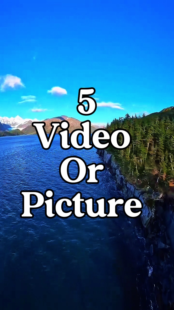 5 video or picture 