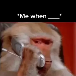 Monkey Calling 