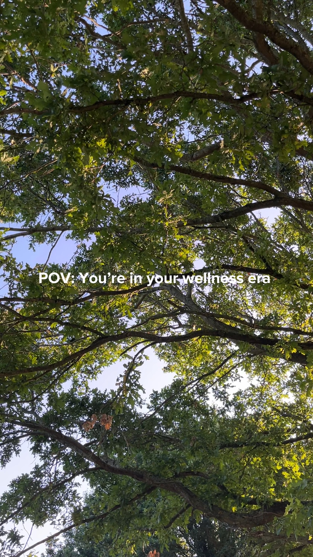 Wellness Era 