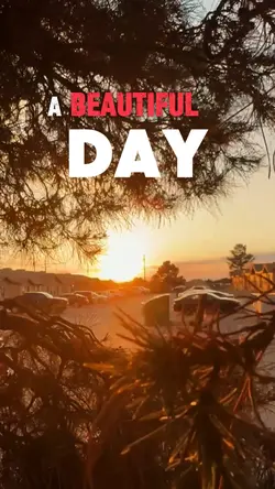 SUNSET IS TREASURE
