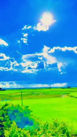 Cinematic Filter