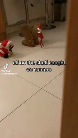 Elf on the shelf mem