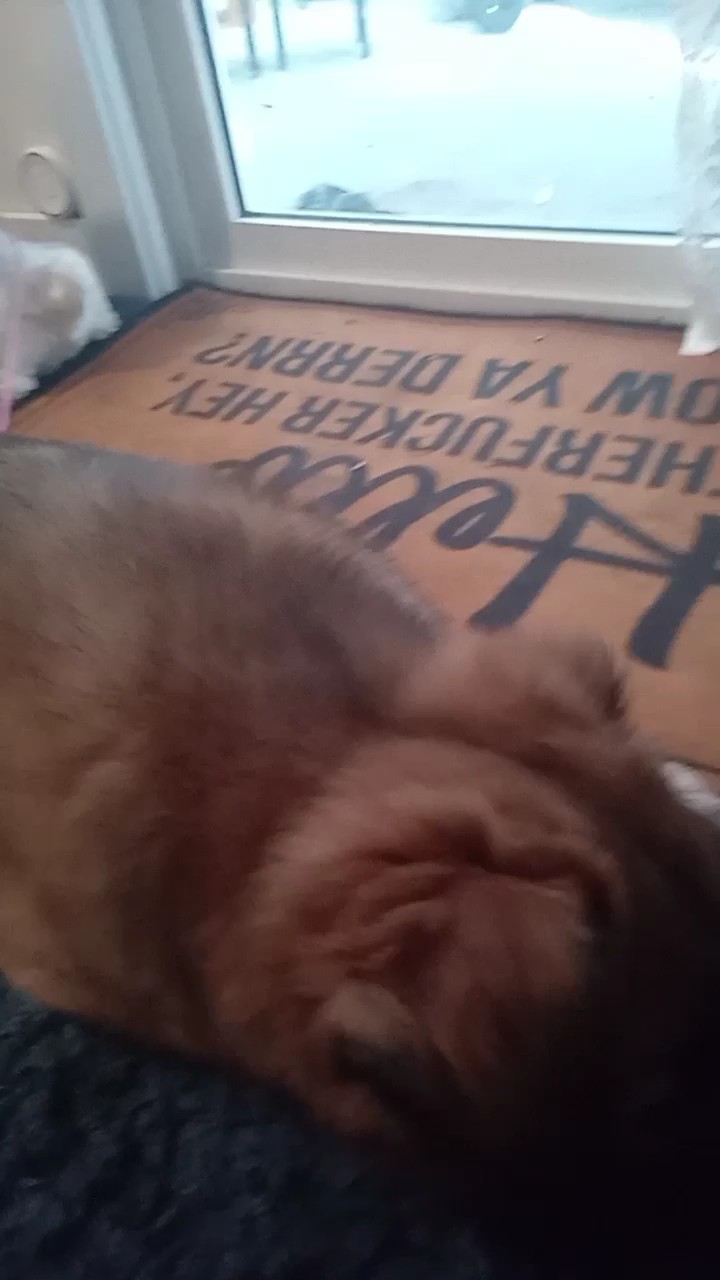 He's cute cute!