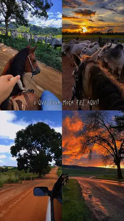 O QUEESSA MOÇA FEZ? 