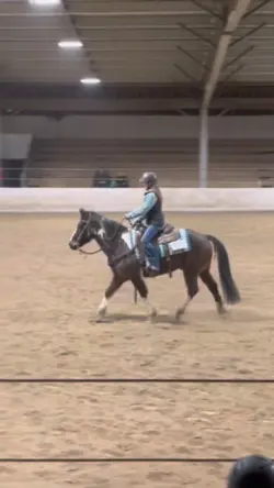 schooling show ! 😻