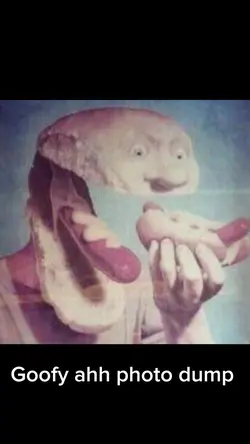 Goofy ahh photo dump