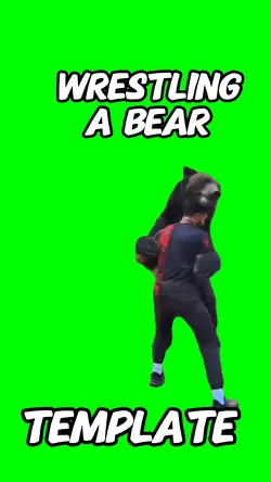 Wrestling bear 