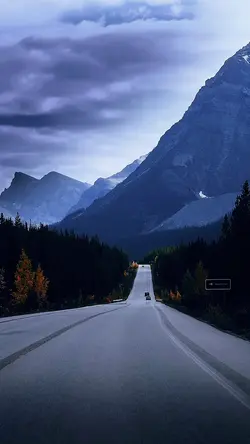 Video template