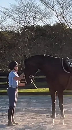 ⚠️NOT REAL⚠️ | |