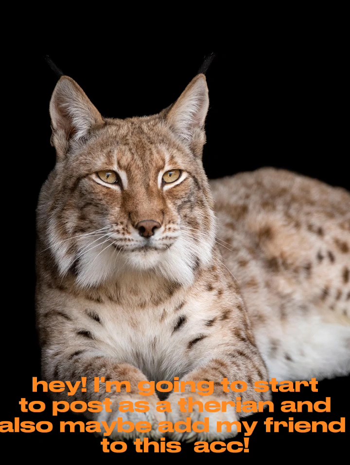 my theriotype is 
