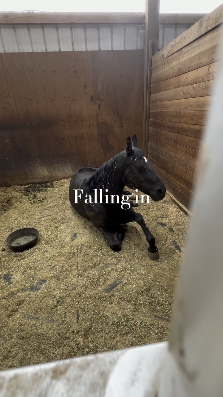 Falling in love