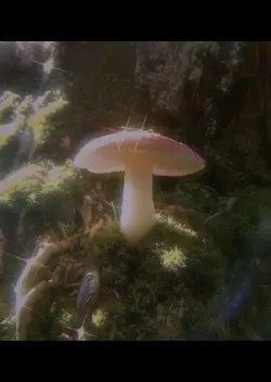 She was a fairy