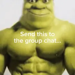 Shrek Meme
