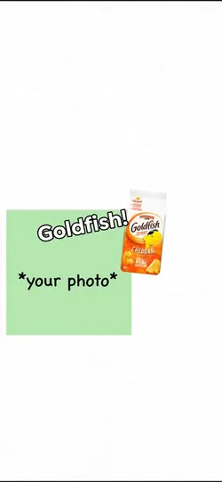 goldfish