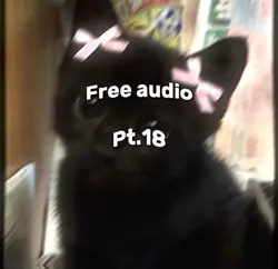 Free audio pt.18