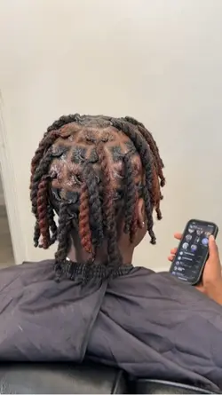 Loc retwist 2 strand