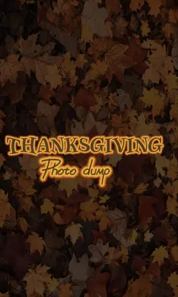 Thanksgiving dump