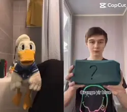Edited Donald Duck