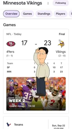 Vikings bette