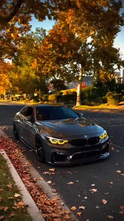 BMW ] CAR EDIT ] ⭐️