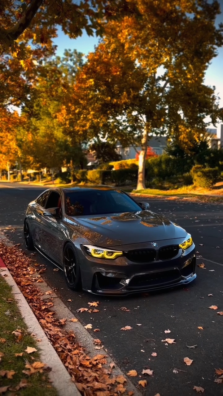 BMW] EDICIÓN DEL COCHE] ⭐