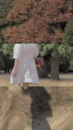 Use this Template