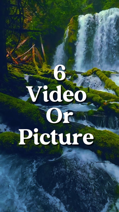 6 na video o larawan 