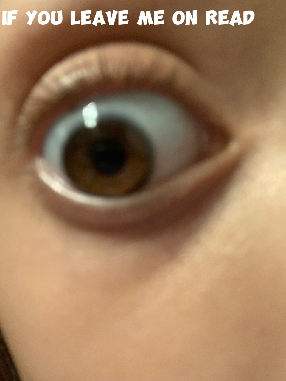 And I won’t leave 🤪