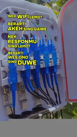 Wifi Lemot